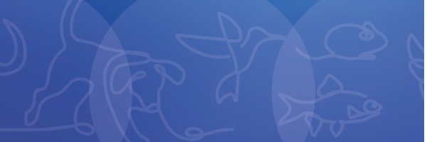 AW_TheJournal Profile Banner