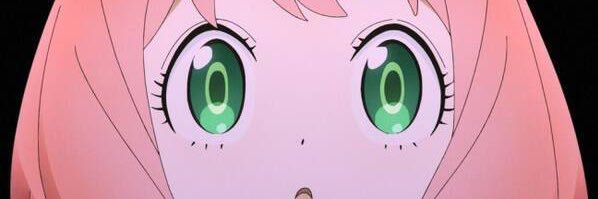 e_v_e_v_e's profile banner image