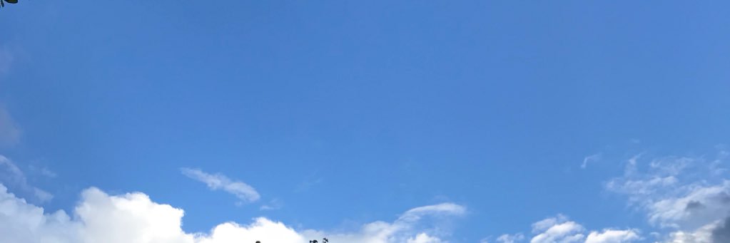 narinthada banner