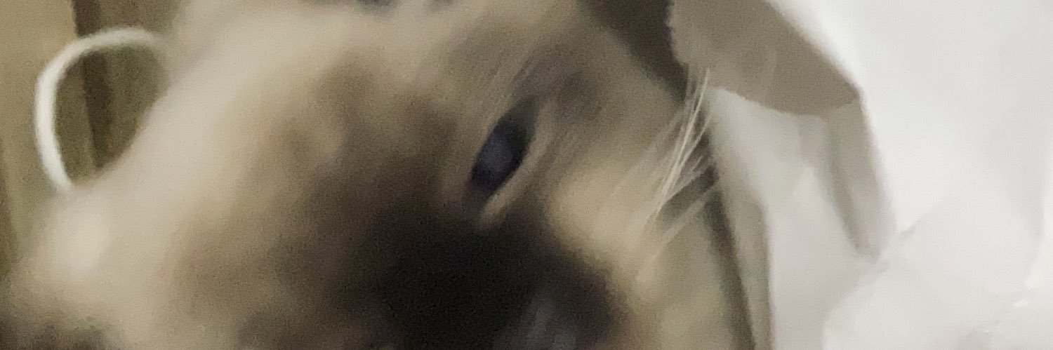 nevehsleep's profile banner image
