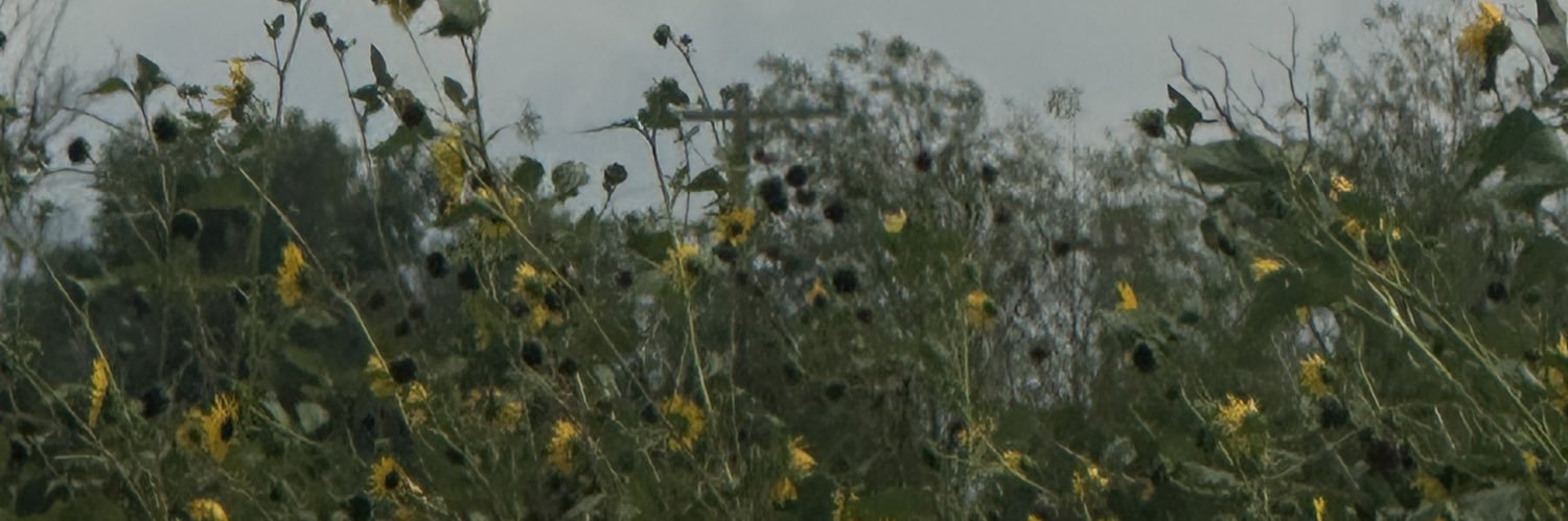 JessiGs_4's profile banner image