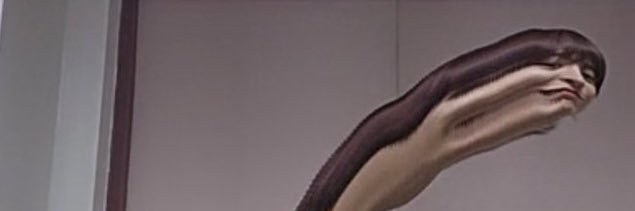 ปอนปัง🍞 banner