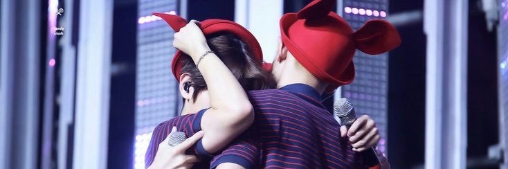 beaminhoca ☭ 🐰👒🏴‍☠️ : scd e fwyf era banner