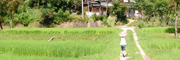 HappyKanau's profile banner image