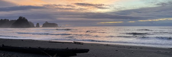 marthakarhoff Profile Banner