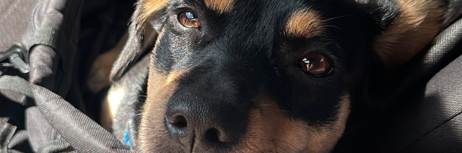 riverashley3's profile banner image