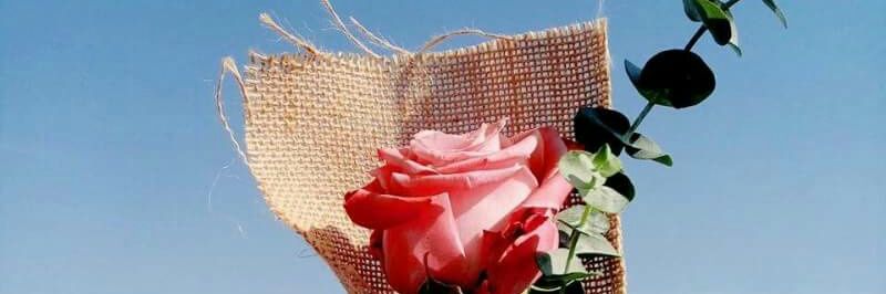 xomsxo08's profile banner image