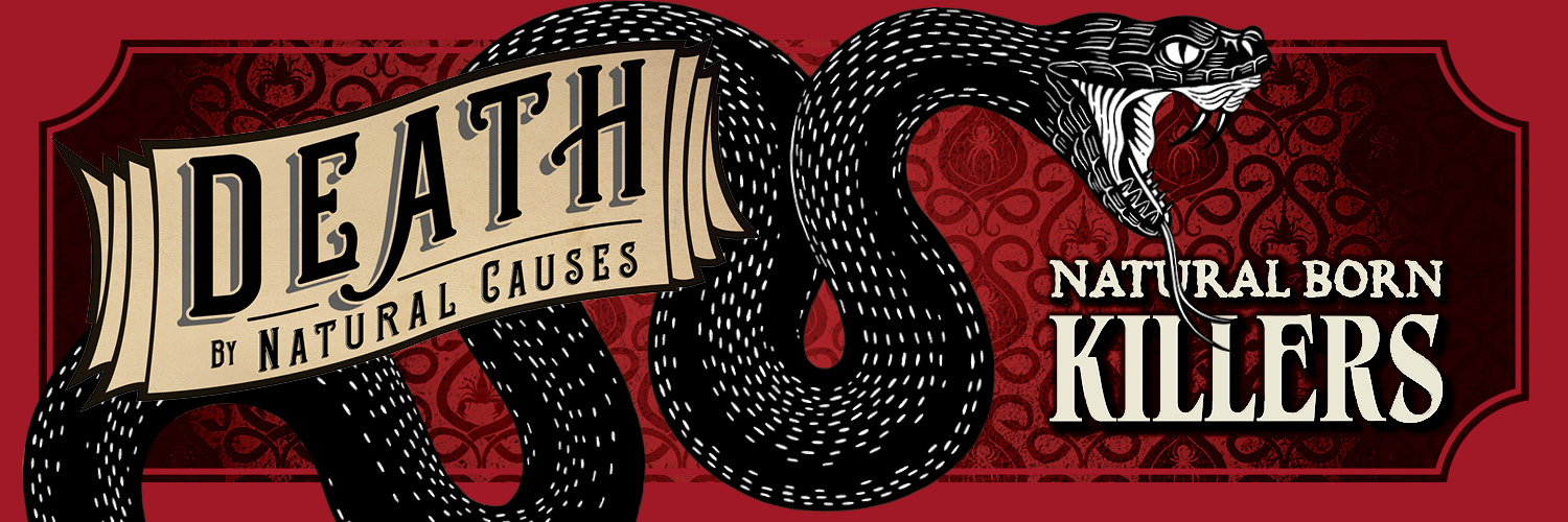 The Houston Museum of Natural Science ❤️🦖🧠🌌 banner