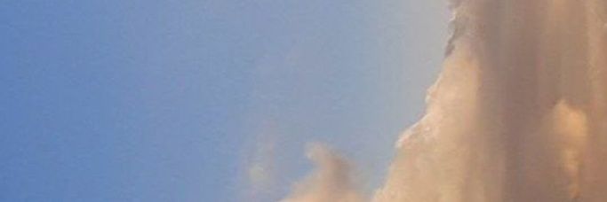 ن.'s banner