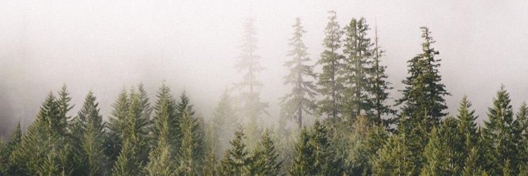 CrazyDevis's profile banner image