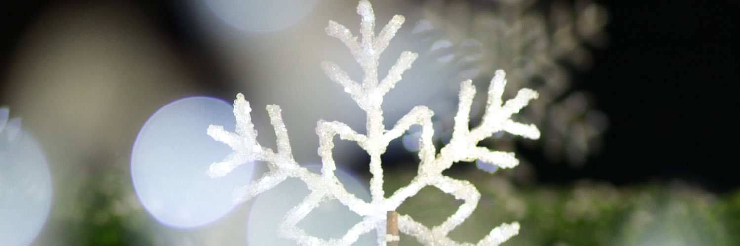 bloumt's profile banner image