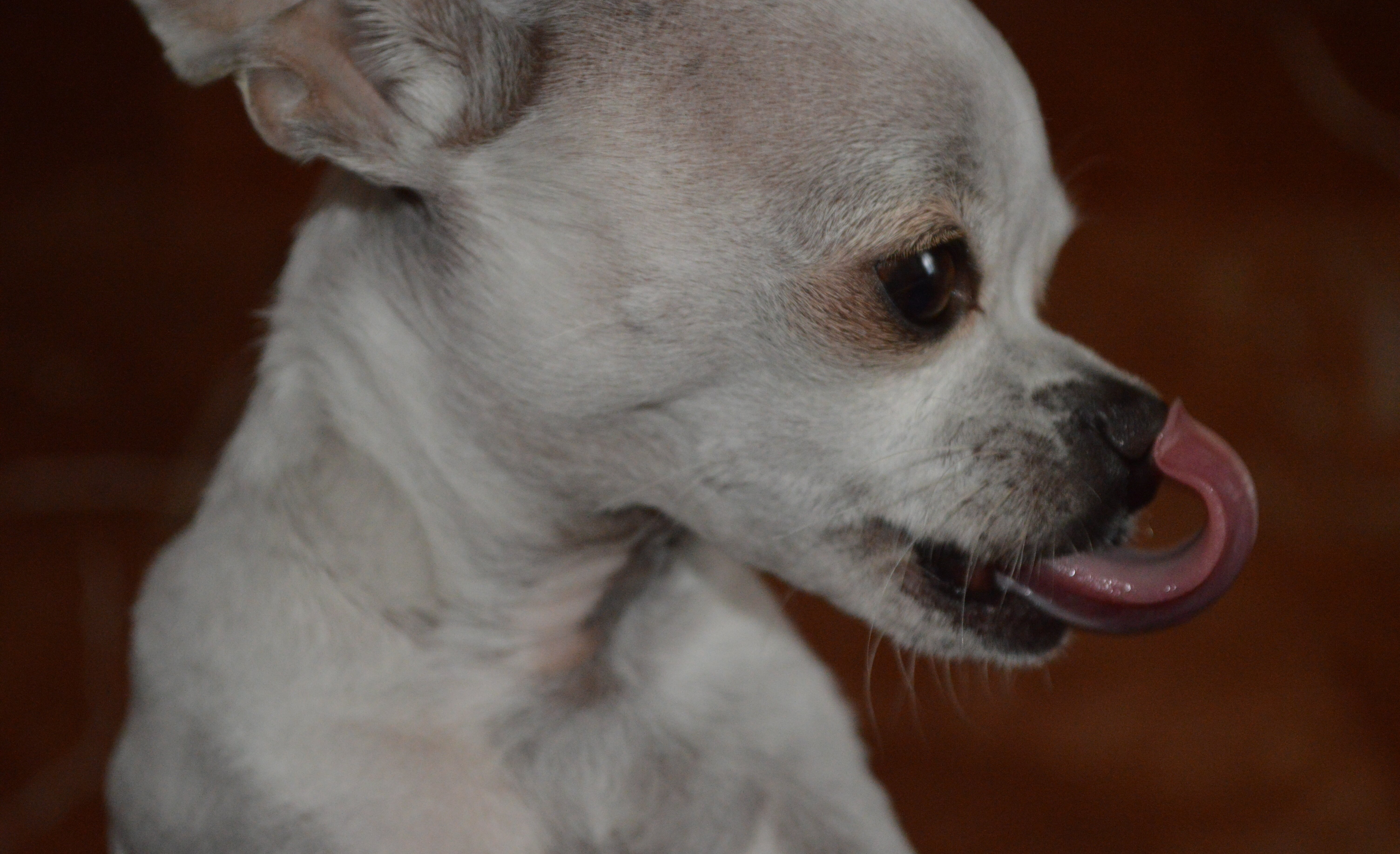 MariNutricio's profile banner image