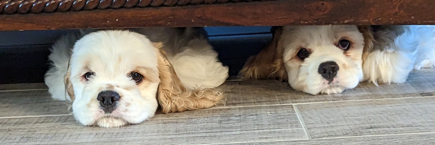 DaveInTrinity1's profile banner image