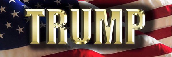 Reptile14k Profile Banner