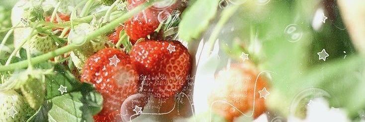 tara ✩‧₊˚ banner