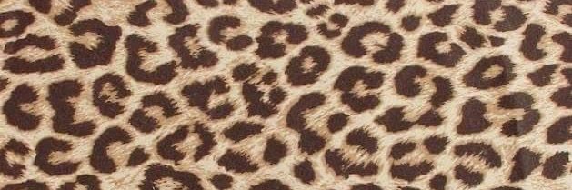 Unhingedblonde2's profile banner image