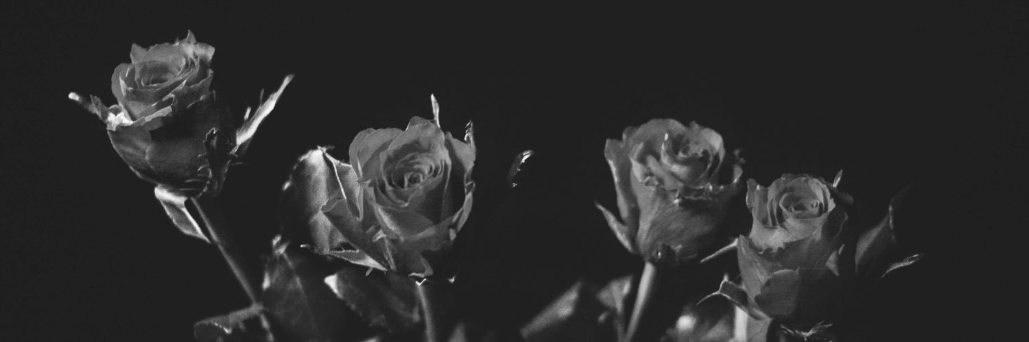 SheIsAWildfire's profile banner image