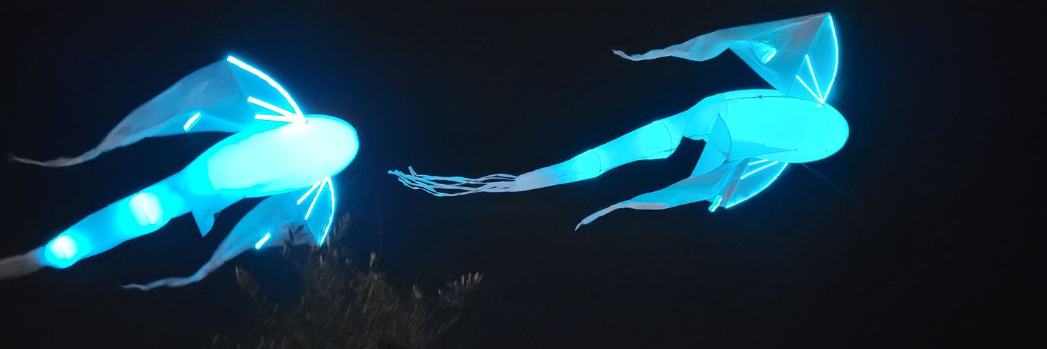 東キノ banner