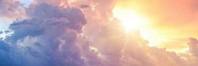 Steven Bonebrake banner