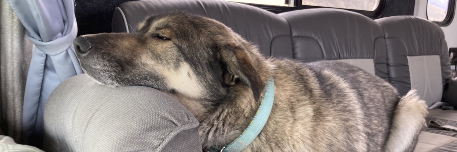 ¿Cuándo Divvi? banner