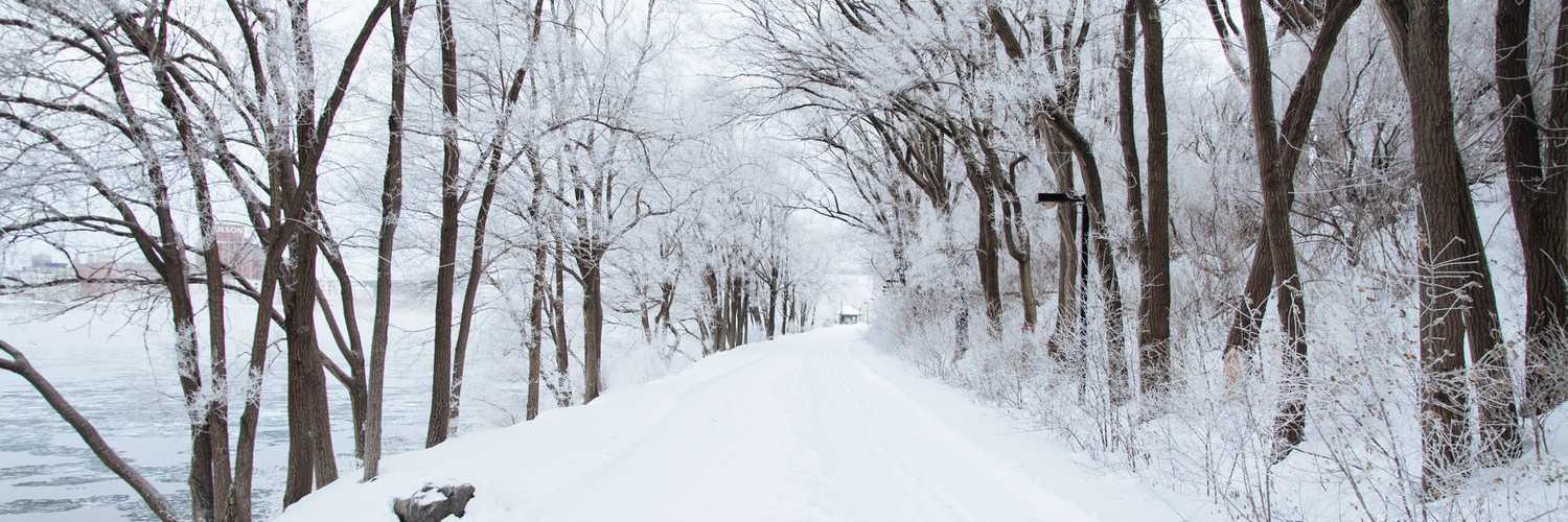 NGUDU HOME❤️ Memecoin banner
