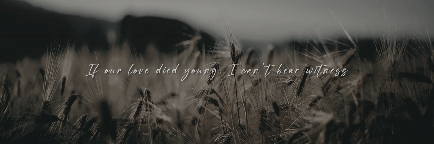 ninazeniks's profile banner image