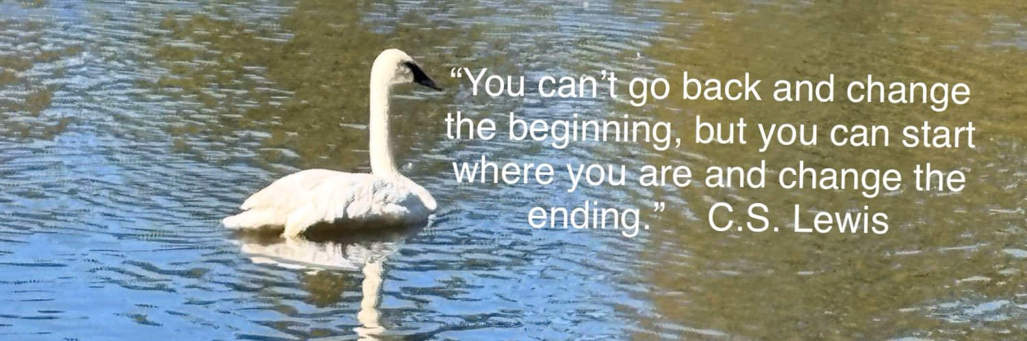 Summertime 🇺🇸 banner