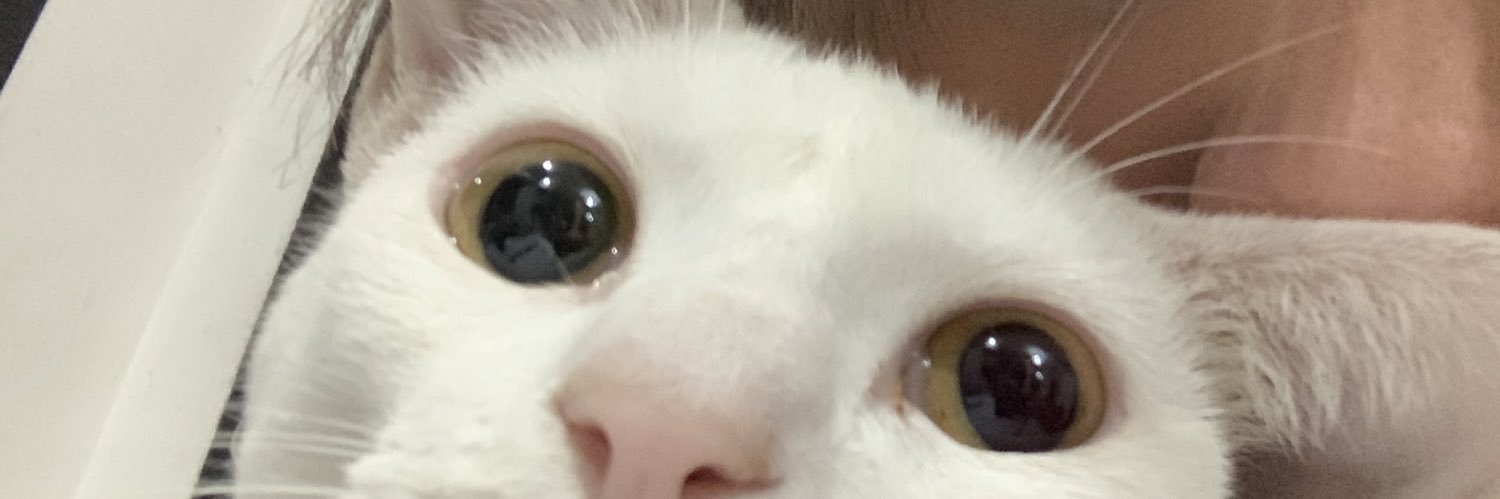 caromuntt's profile banner image