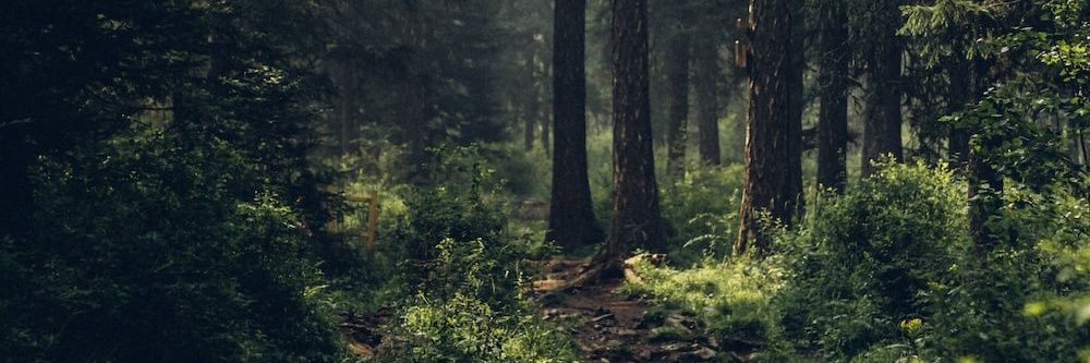 𝑳𝑶𝑪𝑨𝑻𝑬, 𝑯𝑼𝑵𝑻, 𝑬𝑳𝑰𝑴𝑰𝑵𝑨𝑻𝑬 banner