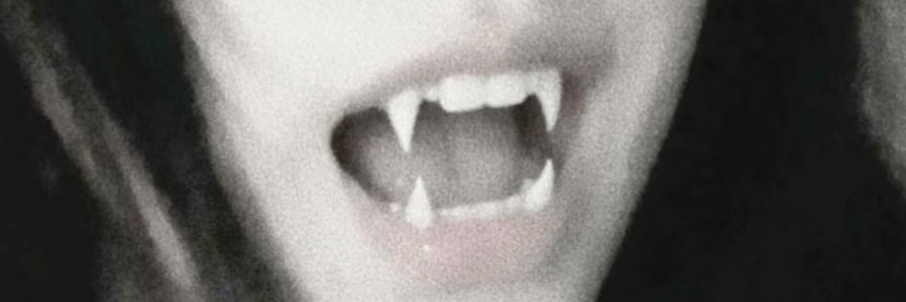 TnTo__o's profile banner image
