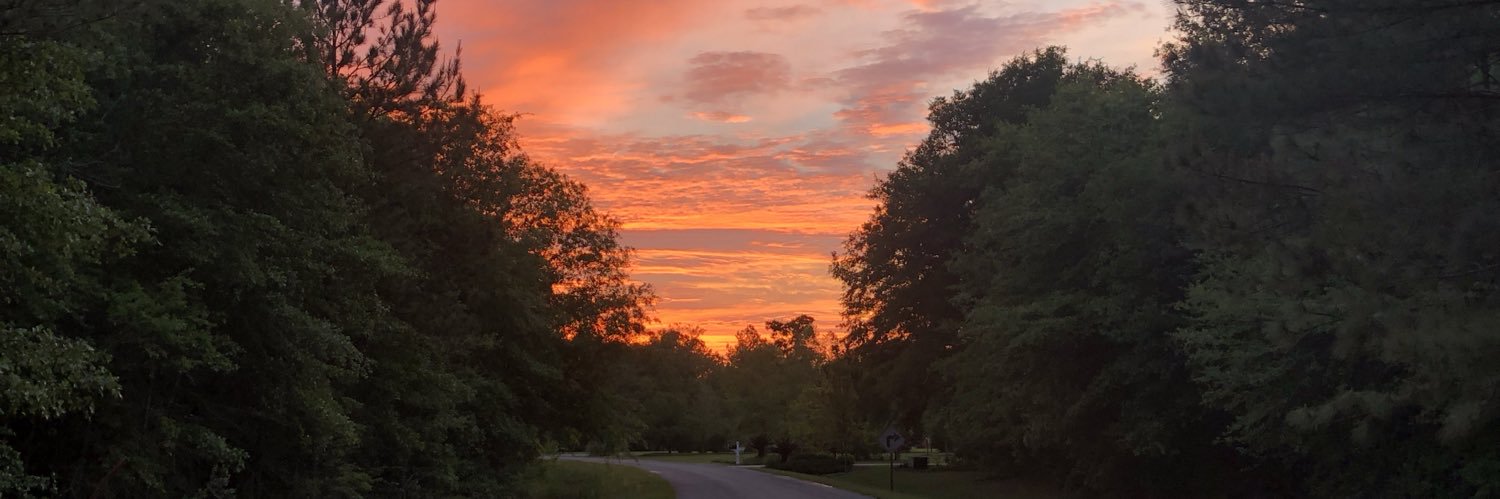 Sherrie Williams banner