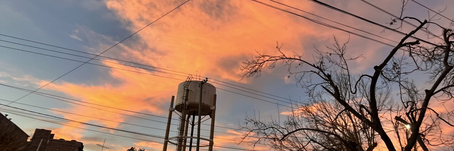 videlacamil's profile banner image