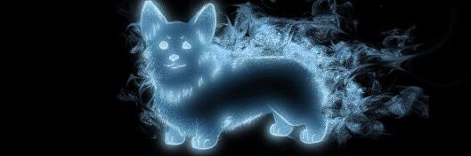 MyACE_ByCHOICE's profile banner image
