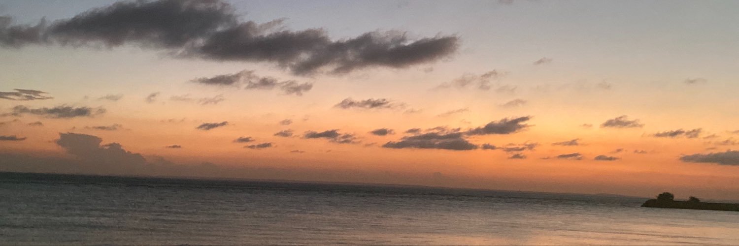 thisingrydx's profile banner image