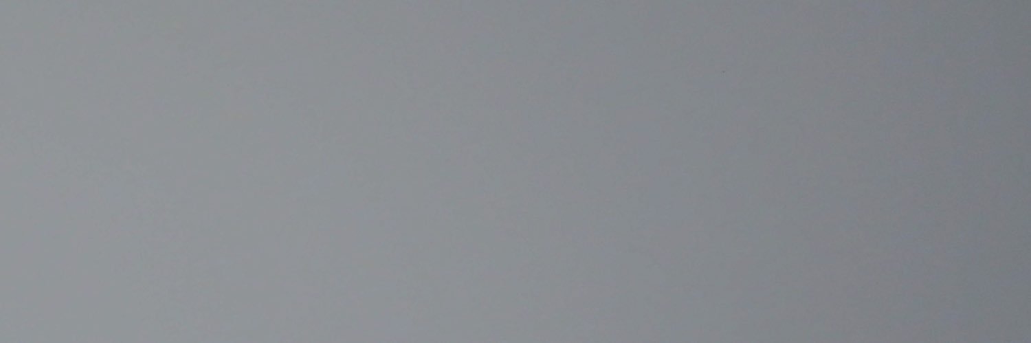 zoochive's profile banner image