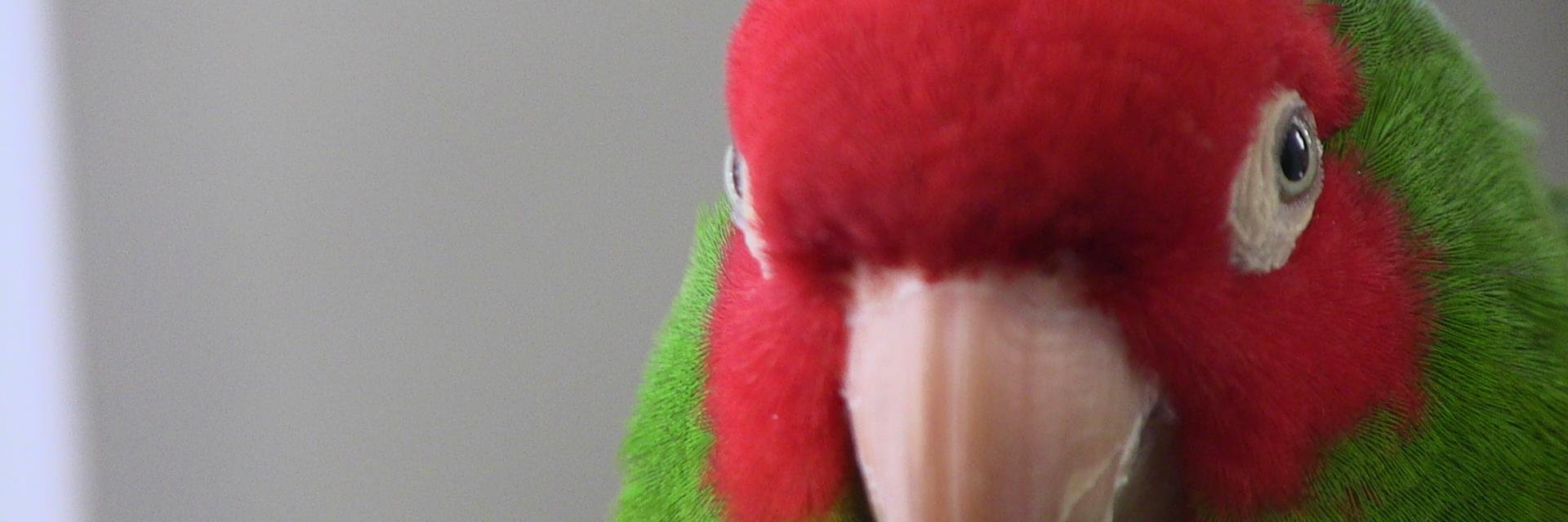 lauralately's profile banner image
