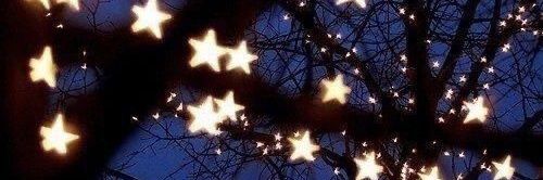 Alexa the dog🐶🐾 banner