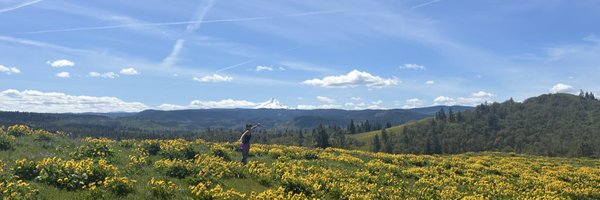 christel_writes Profile Banner