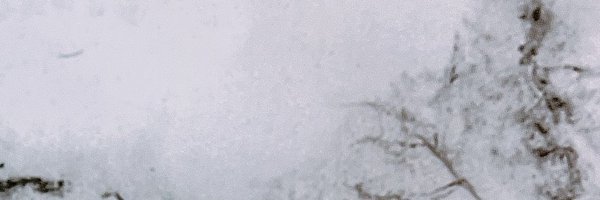 meguru_n_run Profile Banner