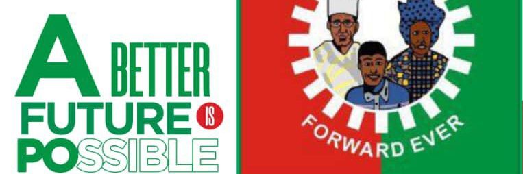 Hopeful Shizzu banner