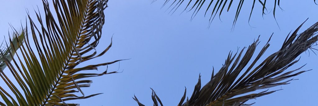 akrietz's profile banner image