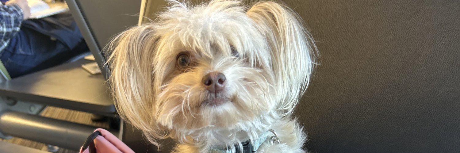 Factual Fluff banner