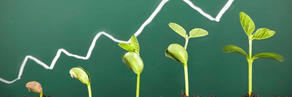 Houman81 Profile Banner