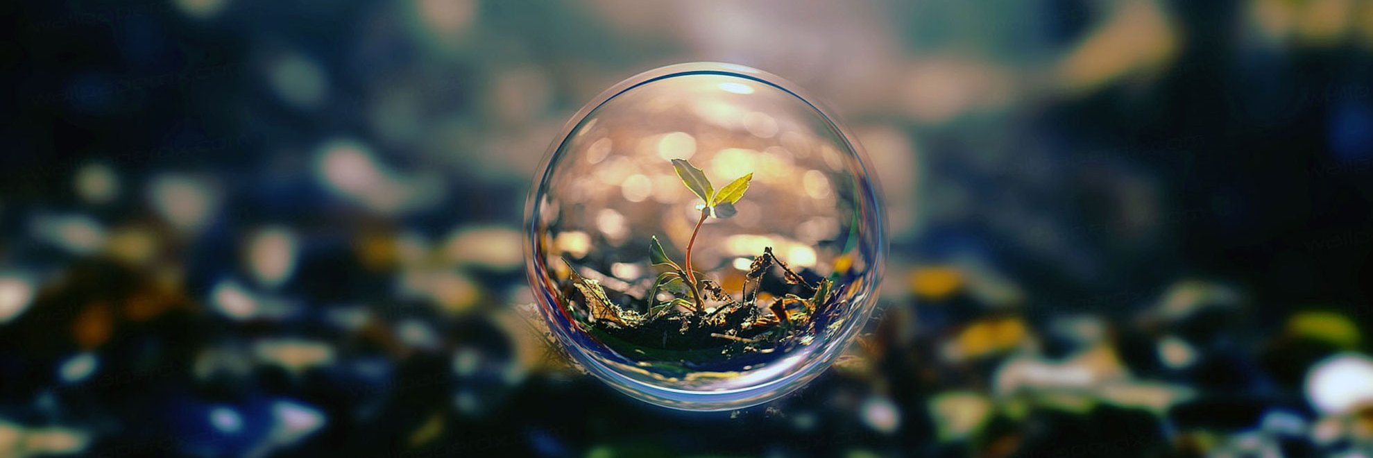 Kai Eichinger banner