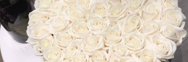 Mayang_Insari's profile banner image