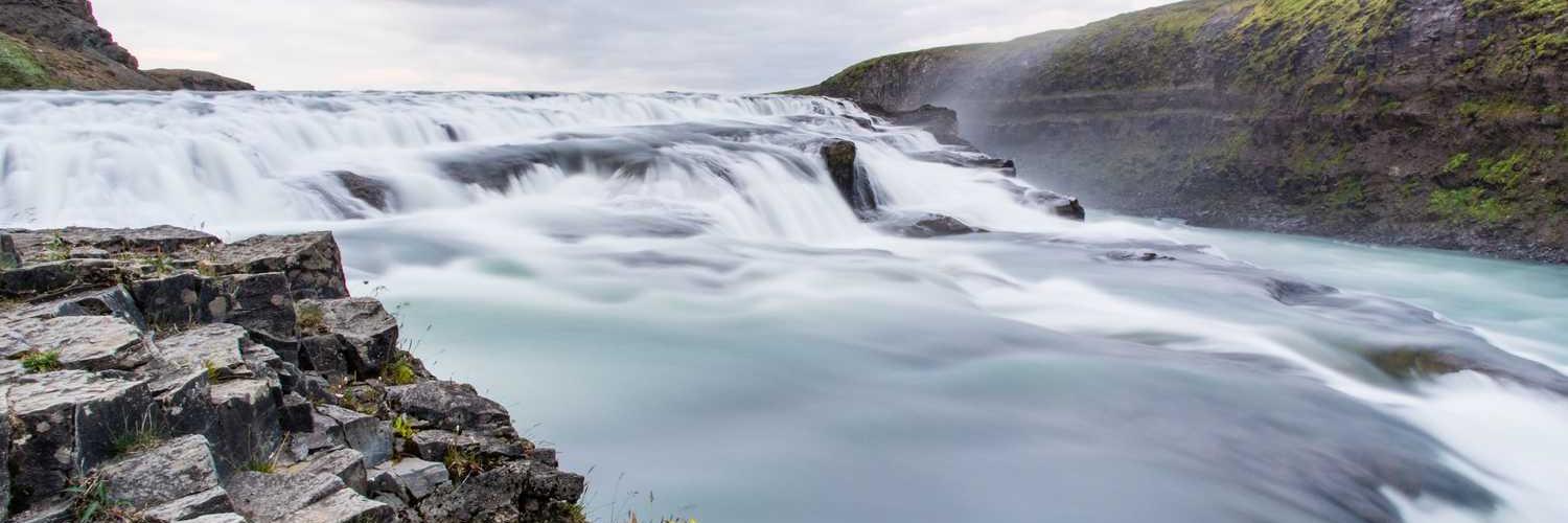 sara❤️ Memecoin banner