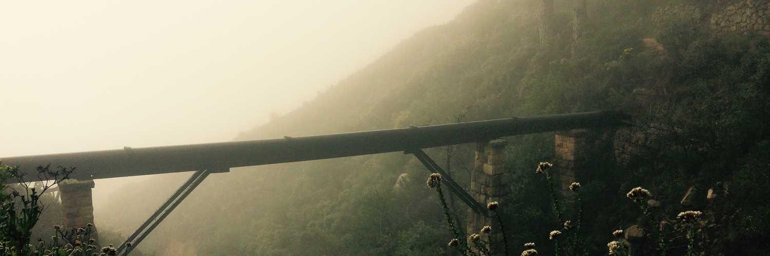 ymoonh ah ❤️ Memecoin banner