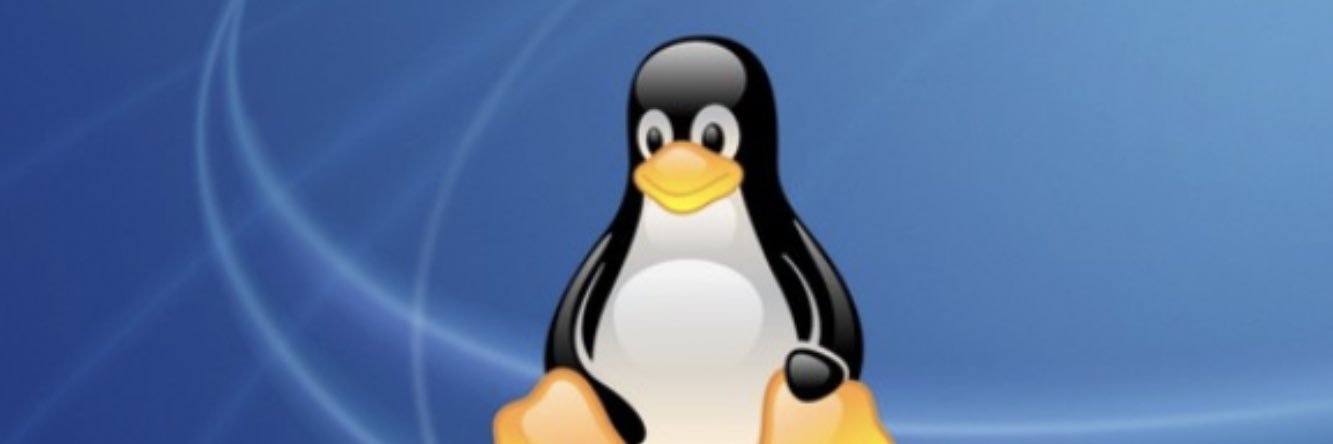 Pingouin des ténèbres 🐧🐧🐧 banner