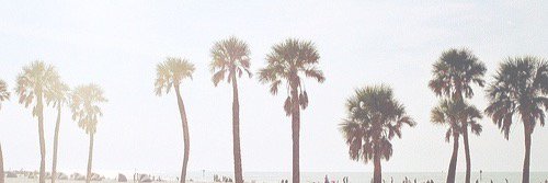 brette's profile banner image