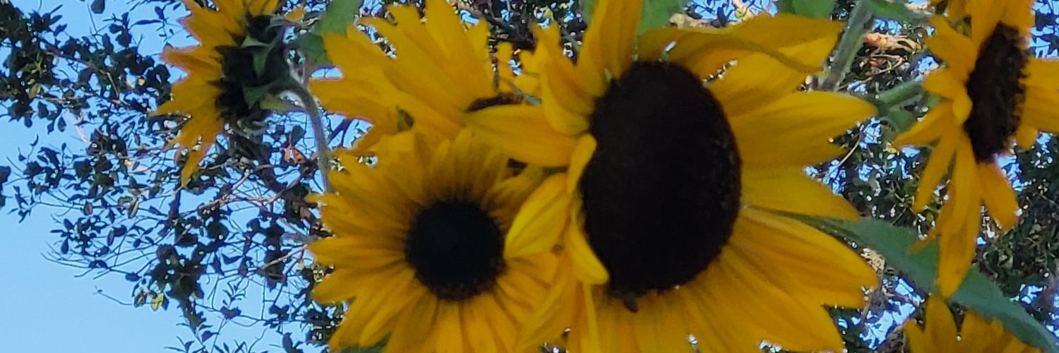 supahstah's profile banner image